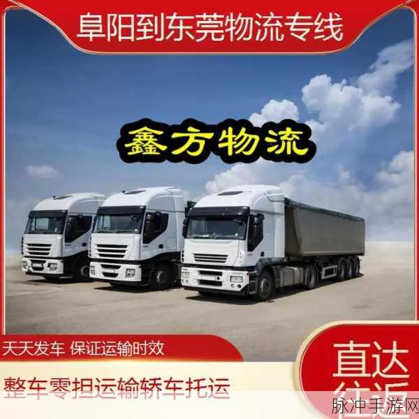 欧洲码日本码专线：拓展欧洲与日本之间的专线物流网络，提升运输效率