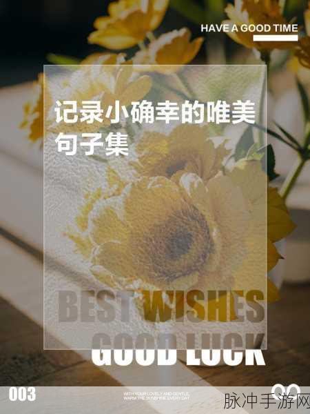 小视频：探索生活中的小确幸：日常点滴的美好瞬间分享