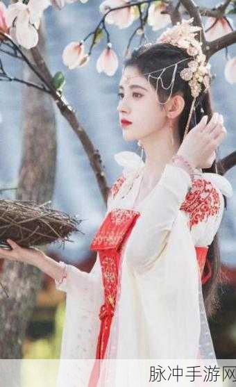 东精影视：打造东精影视，开启视听艺术的新纪元之旅