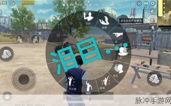 海外b站刺激战场：拓展海外市场，打造B站刺激战场新篇章！