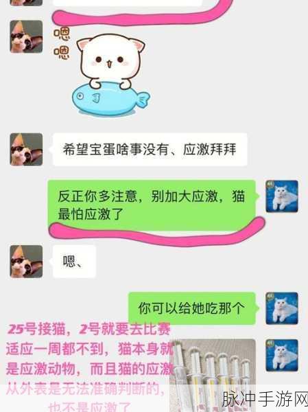 51吃瓜事件黑料吃瓜：51吃瓜事件深度揭露：背后黑料与真相大揭秘