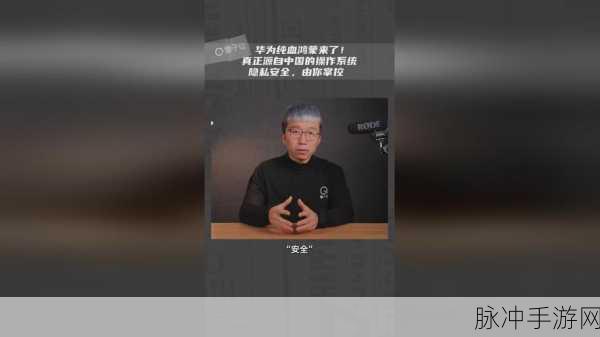 4虎的网名最新：“追梦四虎：勇攀高峰，展现青春风采”