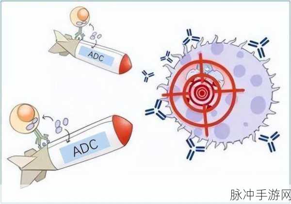 adc欢迎光临：欢迎光临ADC，开启您的精彩探索之旅！