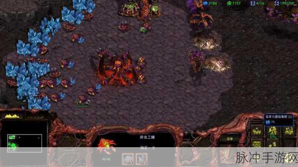 群星虫群入侵：星际争霸：群星虫群入侵的终极战役