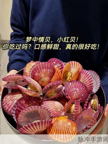 打开扇贝吃火腿肠：畅享美味：扇贝与火腿肠的绝妙搭配之旅
