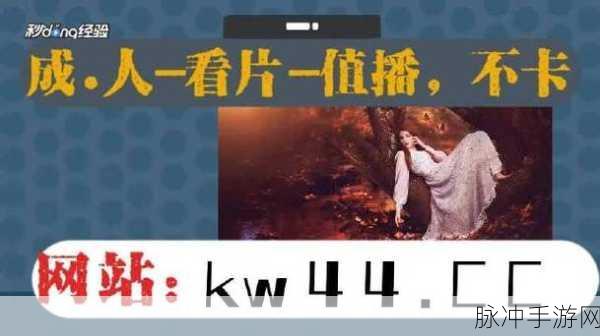 向日葵视频app站长统计：全面解析向日葵视频APP的站长统计功能与应用指南