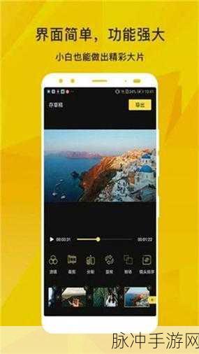 向日葵视频app站长统计：全面解析向日葵视频APP的站长统计功能与应用指南