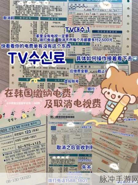 韩国三色电费202：深入了解韩国三色电费202的计算方式与优势分析