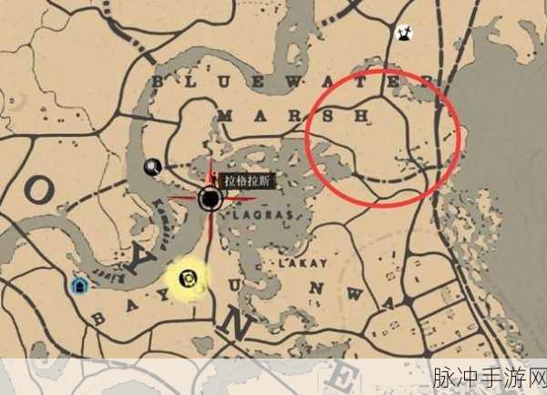 老年镖客2023年最新动态：2023年老年镖客最新动态及未来发展趋势分析