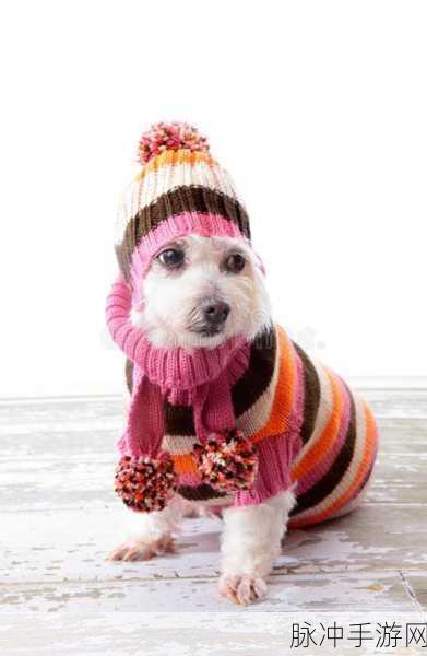 AAAA级毛皮最火的一句狗：探索AAAA级毛皮的魅力，发现狗界时尚的新风潮！