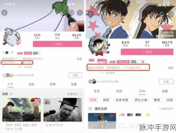 b站推广网站入口2024的推广形式：2024年B站推广新形式：全方位提升网站流量与曝光度！