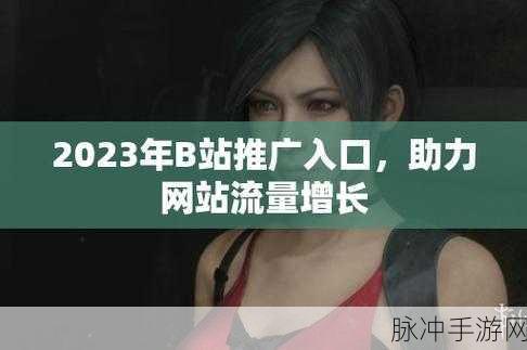 b站推广网站入口2024的推广形式：2024年B站推广新形式：全方位提升网站流量与曝光度！