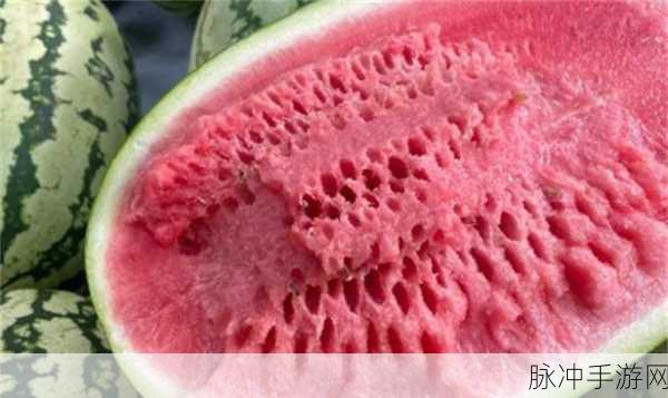 91今日必吃大瓜：今日必吃大瓜，带你领略美食新风尚！