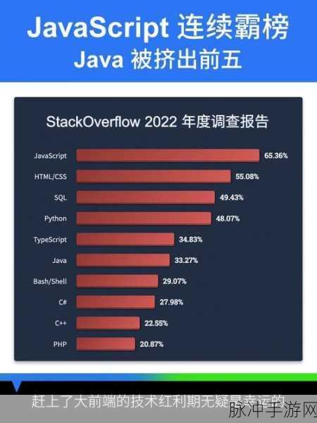 JAVASCRIPTJAVA HD：探索JavaScript与Java的深度融合及应用前景分析