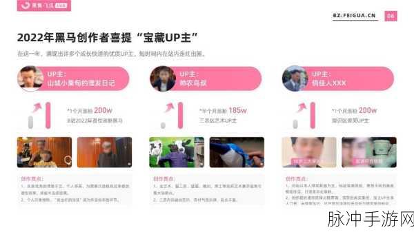 2023b站免费推广大全：2023年B站免费推广全攻略：提升流量与曝光的秘籍分享