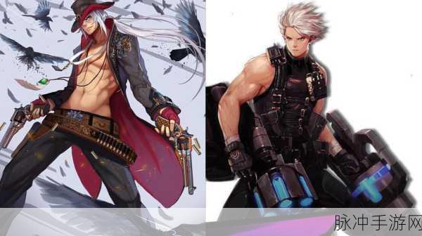 dnf枪剑士哪个职业最值得练：DNF枪剑士职业选择：哪个最值得新手投入练习？