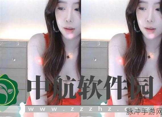 91轻量版ios下载：轻量版91应用下载：快速、安全、便捷的iOS体验指南