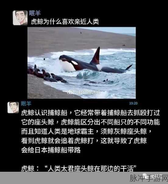 51cg今日吃瓜热门一必看：今日吃瓜热搜：揭示51CG背后的精彩故事与内幕！