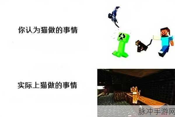 我爱搞52-G.APP：“我爱搞52-G.APP：尽情探索趣味无限的创意世界”