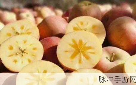 国精产品永久在线观看：探索国精产品的全面体验，永久免费在线观赏！