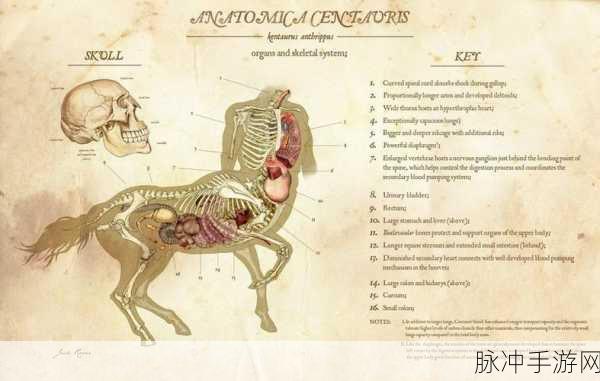 人马畜禽CROPER：“人马畜禽CROPER：动物健康与生物科技的前沿探索”