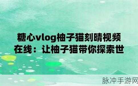心糖vlog柚子猫：探索心糖的奇妙世界：与柚子猫一起Vlog之旅