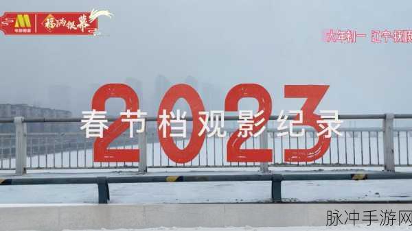 桶机免费大全2023在线观看：2023年最新拓展桶机免费在线观影全指南与推荐