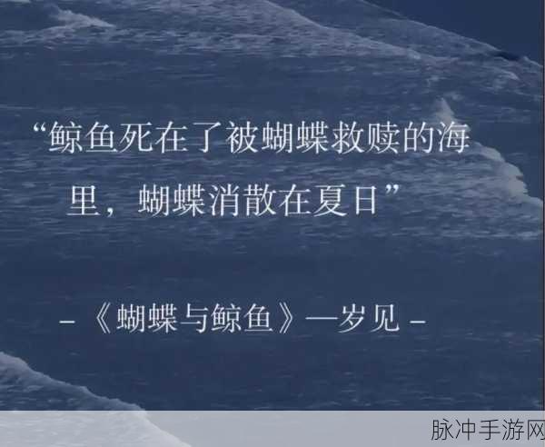 梦幻楼与不眠蝴蝶游戏：梦幻楼中的不眠蝴蝶：奇妙旅程与心灵探秘
