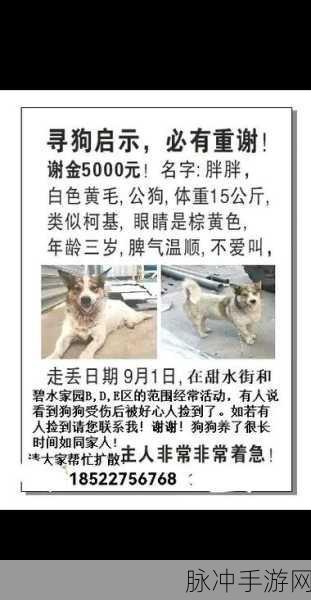 永久回家地址保存不迷路：确保永久回家地址记录，轻松避免迷路烦恼。