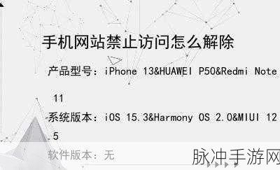 18岁禁止进入的网站：探索18岁以下人士禁止访问的网站背后的原因与影响