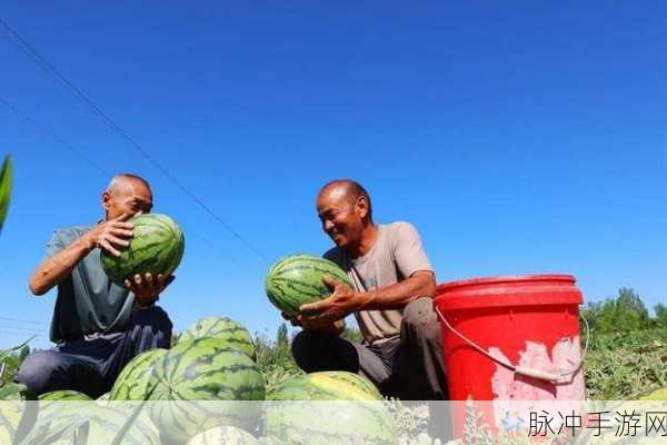 166run吃瓜热门爆料正能量：“166run：吃瓜热议中的积极能量与正面爆料”