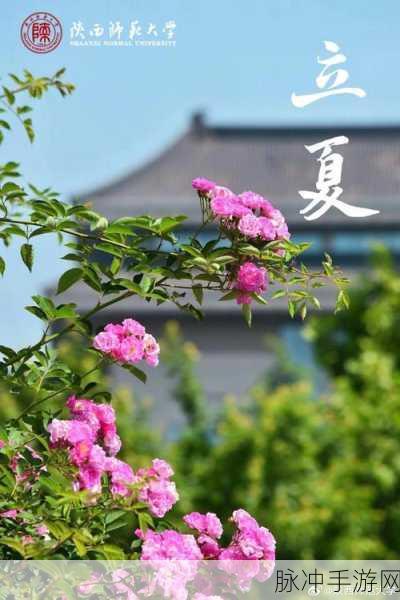 17c一草起：“草木皆生：探寻17c时代的自然与人文交织”