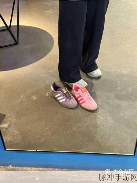 三叶草欧洲码在线：探索三叶草欧洲码在线：全新购物体验与优惠活动解析