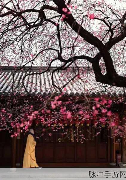 果冻传媒成人网：探索果冻传媒成人网，尽享多元化的激情与娱乐体验