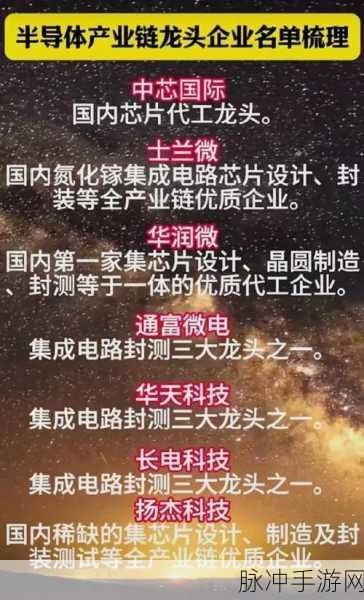 max488国产：深入解析MAX488国产芯片的应用与优势探讨