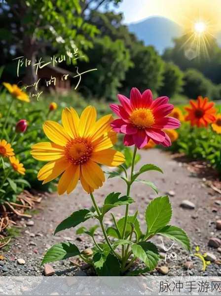 一键驱散快捷键：轻松一键驱散烦恼，开启全新生活模式的快捷方式