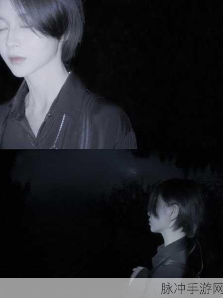 游荡大家庭小说：游荡大家庭：寻觅失落的温暖与归属