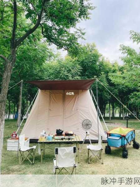 旅游野外2人住宿帐篷游戏：“两人共度自然之夜：帐篷宿营与户外探险游戏”