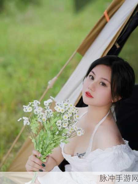 旅游野外2人住宿帐篷游戏：“两人共度自然之夜：帐篷宿营与户外探险游戏”