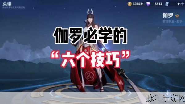 伽罗ちゃんへの手术：伽罗ちゃん的手术之路：勇敢面对新生挑战