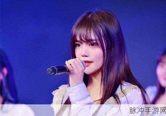 911爱豆：911爱豆：青春热血与梦想追逐的故事