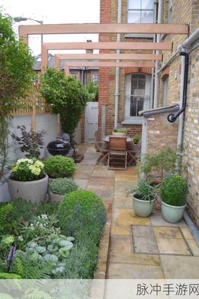 亲小花园 技巧：如何巧妙拓展你的亲小花园，提升绿意与美感