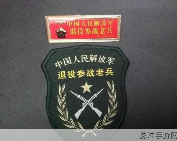 2024部队召回老兵：2024年部队召回老兵，重燃军事梦想与荣誉感