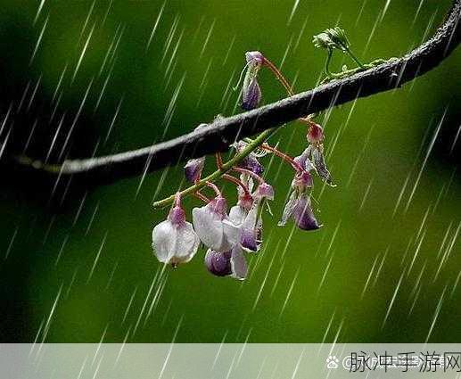 昆八寒进欧派：“拓展昆八寒进欧派：探索新领域与创新发展之路”