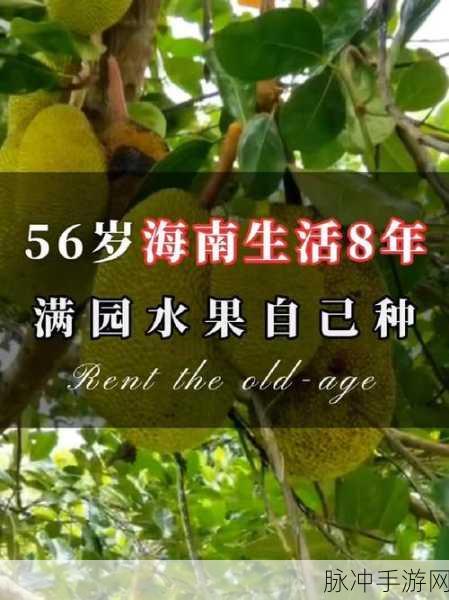 香蕉视频先生：香蕉视频先生：探索创意与娱乐的无限可能性！