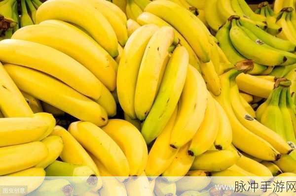 香蕉视频1024：探索香蕉视频1024：畅享无限精彩与乐趣的视听盛宴