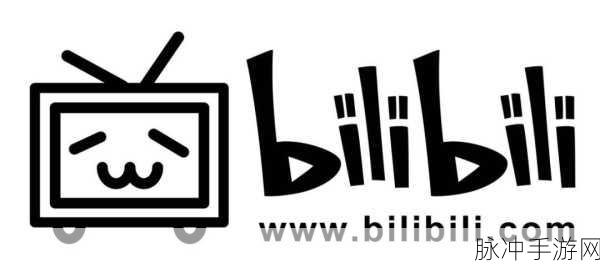 国际b站免费视频入口mba智库下载：“国际B站免费视频入口及MBA智库资源下载指南”