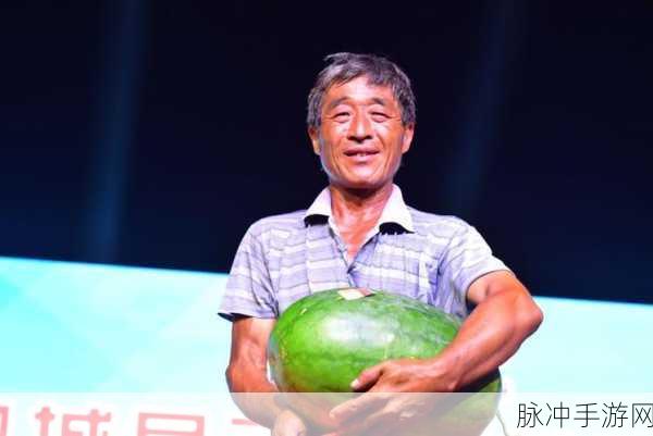 24小时吃瓜不打烊：全天候吃瓜不停歇，欢乐时刻随时开启！