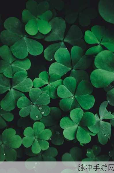 成品网站w灬源码三叶草：拓展成品网站：三叶草源码的全面解析与应用技巧分享