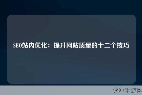 seo视频APP网页入口：优化SEO视频APP的网页入口，提升用户体验与流量转化